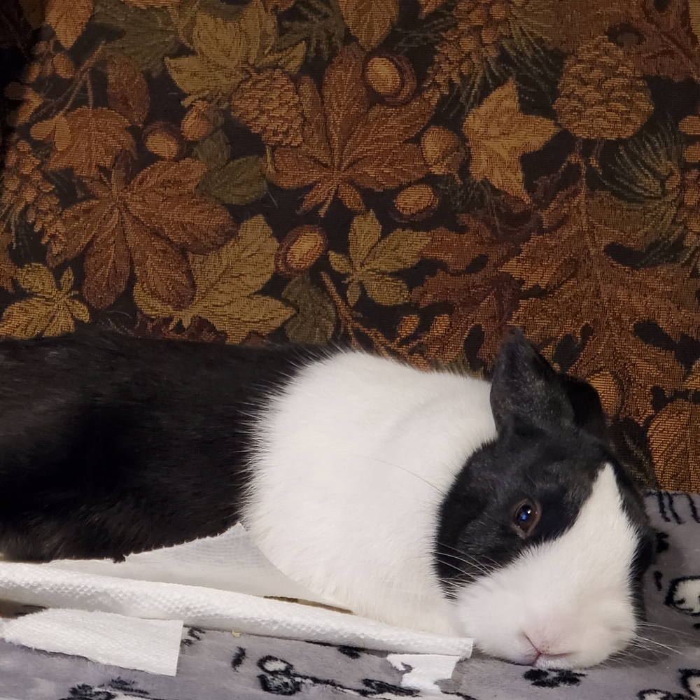 Meet your Posher, Aidan